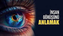 Nasıl Görüyoruz, İnsan Görüşünü Anlamak