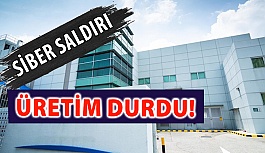 Hoya Siber Saldırı Yüzünden Üretimi Durdurdu