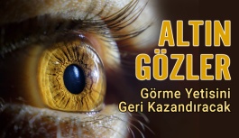 Altın Gözler Görme Yetisini Geri Kazandıracak