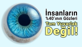 Bütün Gözler Tam Yuvarlak Değil!