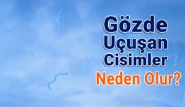 Gözde Uçuşan Cisimler Neden Olur?