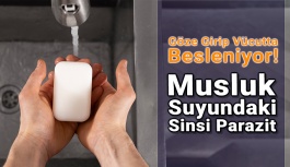 Kontak Lens Kullanıcıları İçin Ciddi Tehdit Oluşturuyor!