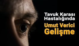 Tavuk Karası Hastalığında Umut Verici Gelişme