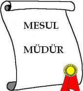 Bayan Mesul Müdür