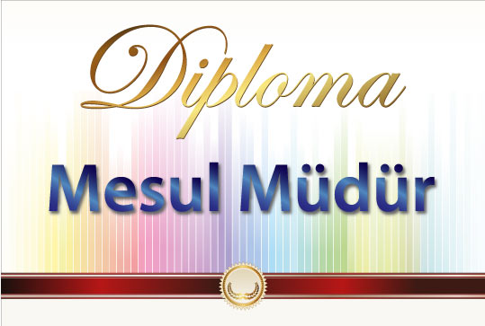 Mesul mudur