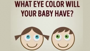 Çiftlerin Göz Rengine Göre Çocuğun Sahip Olacağı Göz Rengi İhtimalleri